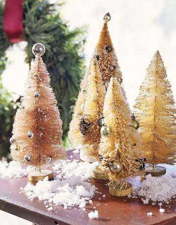 1940s-bottlebrush-trees