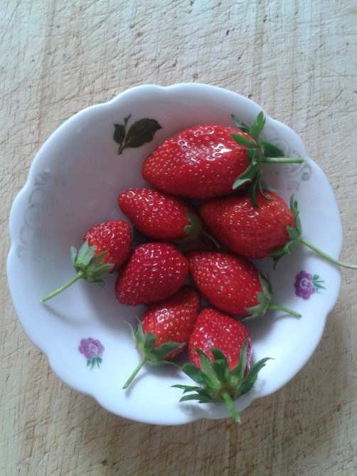 Mein grüner Lifestyle Erdbeeren schoenstricken.de